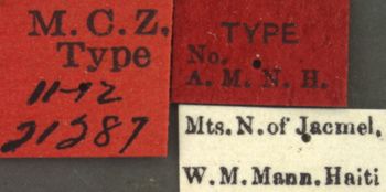 Media type: image; Entomology 21287   Aspect: labels